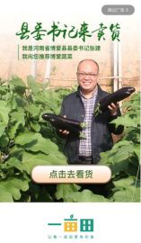 博愛縣委書記一畝田直播首秀，為家鄉(xiāng)蔬菜傾情代言